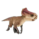 :Microceratus: