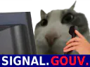 :Pouet_signal_gouv: