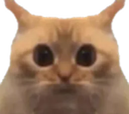 :Chatlimitemiroir:
