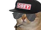 :sodium_swag: