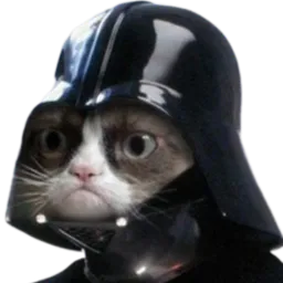 :Chat_darkvador:
