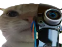 :cyborgchak: