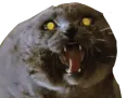 :Chat_vnr: