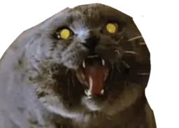 :Chat_vnr: