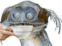 :poissontasse:
