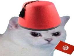 :tounsicat: