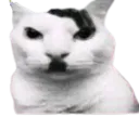 :hitler_chat: