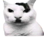 :hitler_chat: