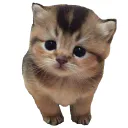 Patatiti