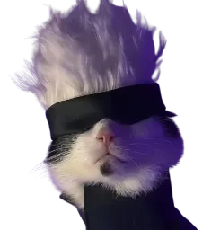 :Gojo_chat_: