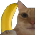 CandyUpAuChoco