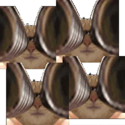:chat_lunettes_glitch: