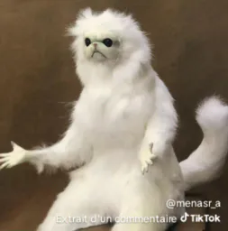 :jdjdkdk: