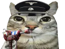 :CS_BO1_Raygun: