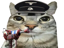 :CS_BO1_Raygun: