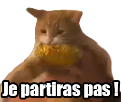 :JePartirasPas: