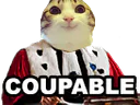 :marrant_juge:
