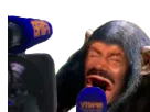 :singecamera2: