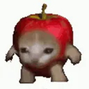 :Chat_pomme: