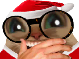 :chatrirenoel: