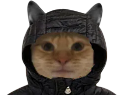 :rachaille: