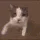 :kittykiss: