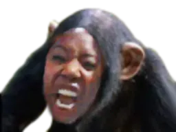 :NoirSingeFolle: