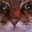 Photo de profil de Wrex2