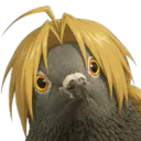 :Edward_gros_pigeon: