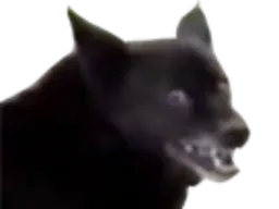 :niknak: