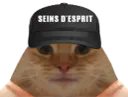 :chatcasquetteseinsesprit: