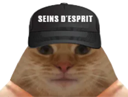 :chatcasquetteseinsesprit: