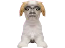 :Chien_Bourdon_Symetrie: