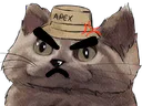 :Chatbobpacontan: