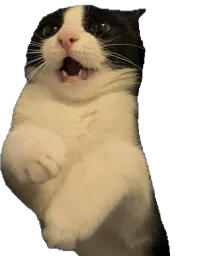:sonchat: