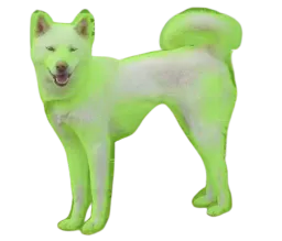 :chien_glow: