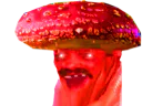 :cash_amanite: