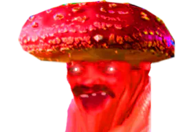 :cash_amanite: