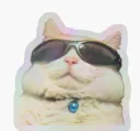 :chaaya: