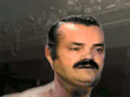 :RisitaMma: