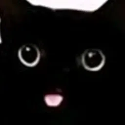 :plop_le_chat_2: