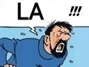 :Haddock_la: