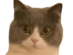 :Chahuri: