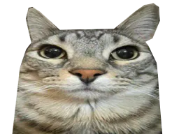 :CS_Original: