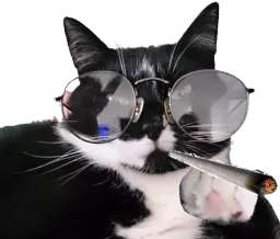:Chatfumelunettes: