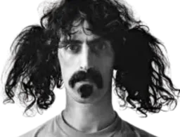 :frank_fou: