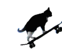:3d_chat_skateboard:
