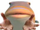 :Fish_theorie: