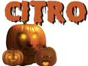 :halloween_banniere2: