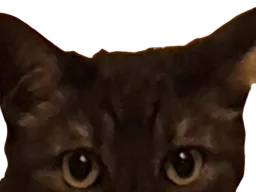 :chat_mefiant: